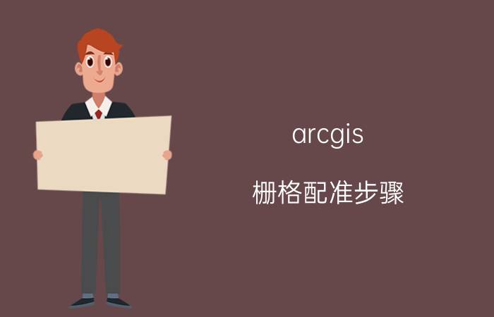 arcgis 栅格配准步骤 栅格数据的数据类型？